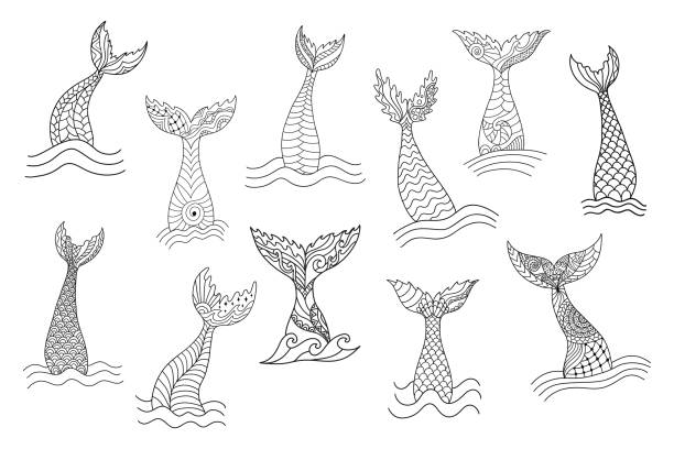 Set of hand drawn ornamental mermaid's tails Set of hand drawn ornamental mermaid's tails. Doodle cartoon vector illustration isolated on white background. Coloring book pages for adult anti stress. whale tale stock illustrations