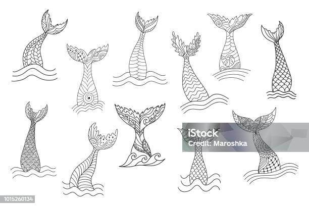 Set Of Hand Drawn Ornamental Mermaids Tails Stock Illustration - Download Image Now - Mermaid, Illustration, Tail