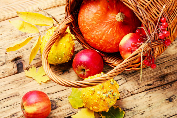 istock Autumn apples and pumpkin 1015260308