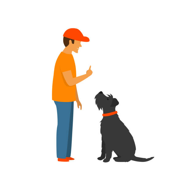 bildbanksillustrationer, clip art samt tecknat material och ikoner med man lära en hund att stanna och sitta, grundläggande kommandon lydnad utbildning vektor illustration scen - classroom training