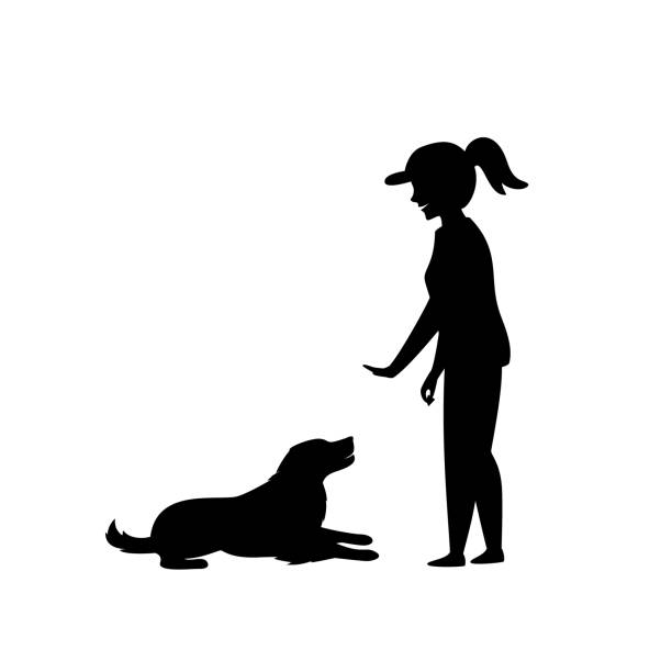 bildbanksillustrationer, clip art samt tecknat material och ikoner med kvinnan utbildning en hund grundläggande kommandon siluett - classroom training