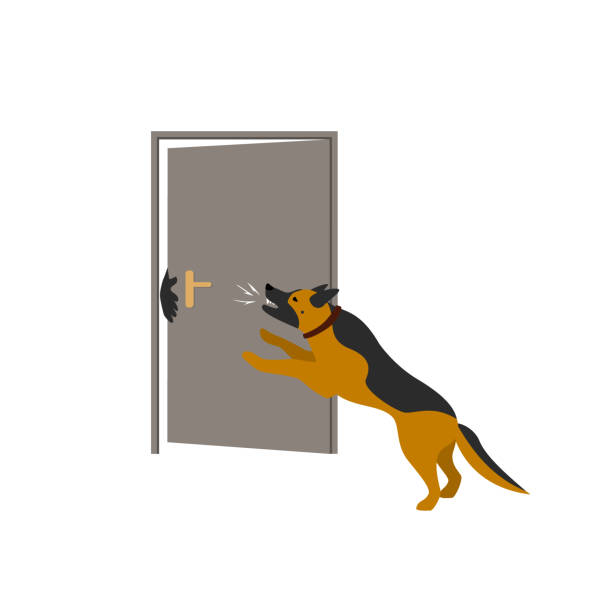 ilustrações, clipart, desenhos animados e ícones de pastor alemão cão protegendo casa da cena de ilustração vetorial ladrões - working late