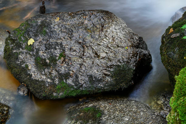 istock a hike through the wild Ysperclammy 1015281300