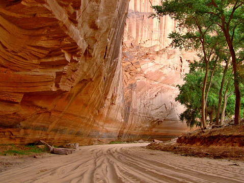 Jeep tracks in the sand and towering red rocks walls deep in Canyon de Chelly in northeastern Arizona.