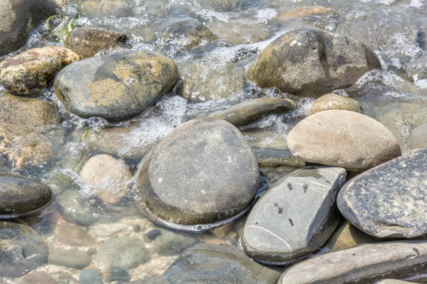 istock Large pebble on the seashore, close-up 1015315494