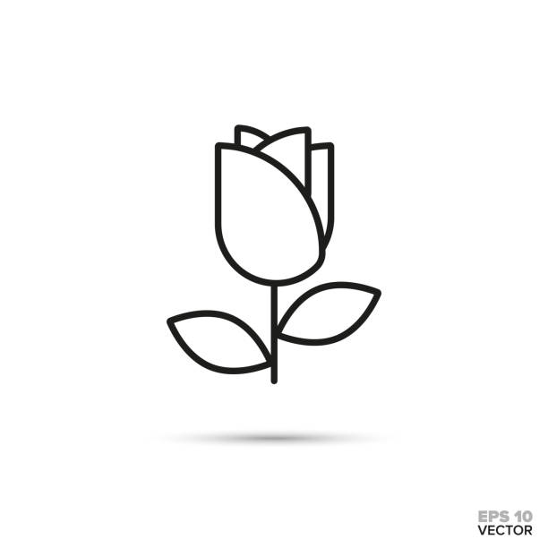 Rose flower vector icon. Rose blossom vector line icon. Love and romance symbol. single flower flower black blossom stock illustrations