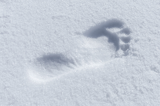 Humans bare foot imprint in white snow, close-up photo
