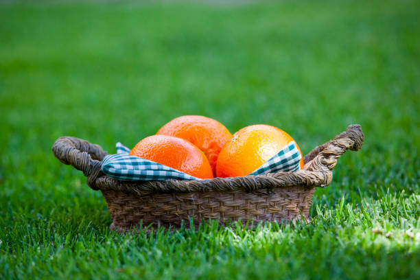 Mandarin Basket Summer Garden