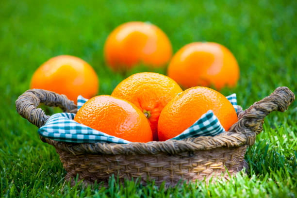 istock Mandarin Basket Summer Garden 1015354042