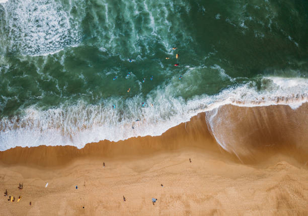 surfers on the waves view from above. Sport concept
