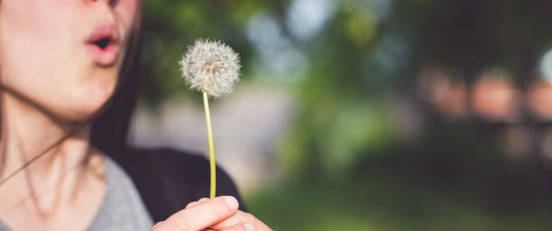 istock Young woman blows dandelion 1015357668