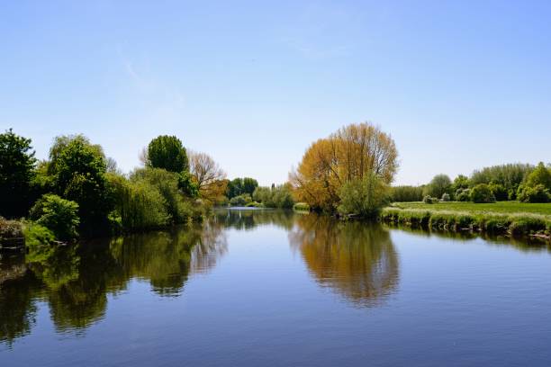 o rio trent, burton upon trent. - staffordshire - fotografias e filmes do acervo