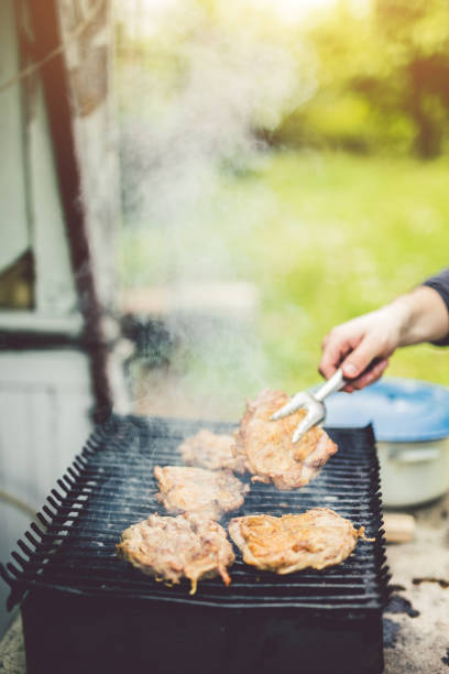 istock Chicken meat on barbecue grill 1015361512