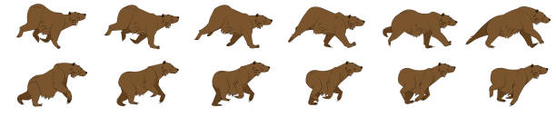 Bear Run Cycle Animation Sprite vector art illustration