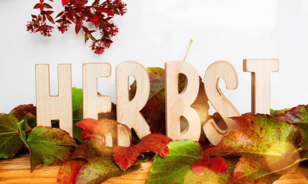 istock Autumn decoration with colorful leaves 1015377894