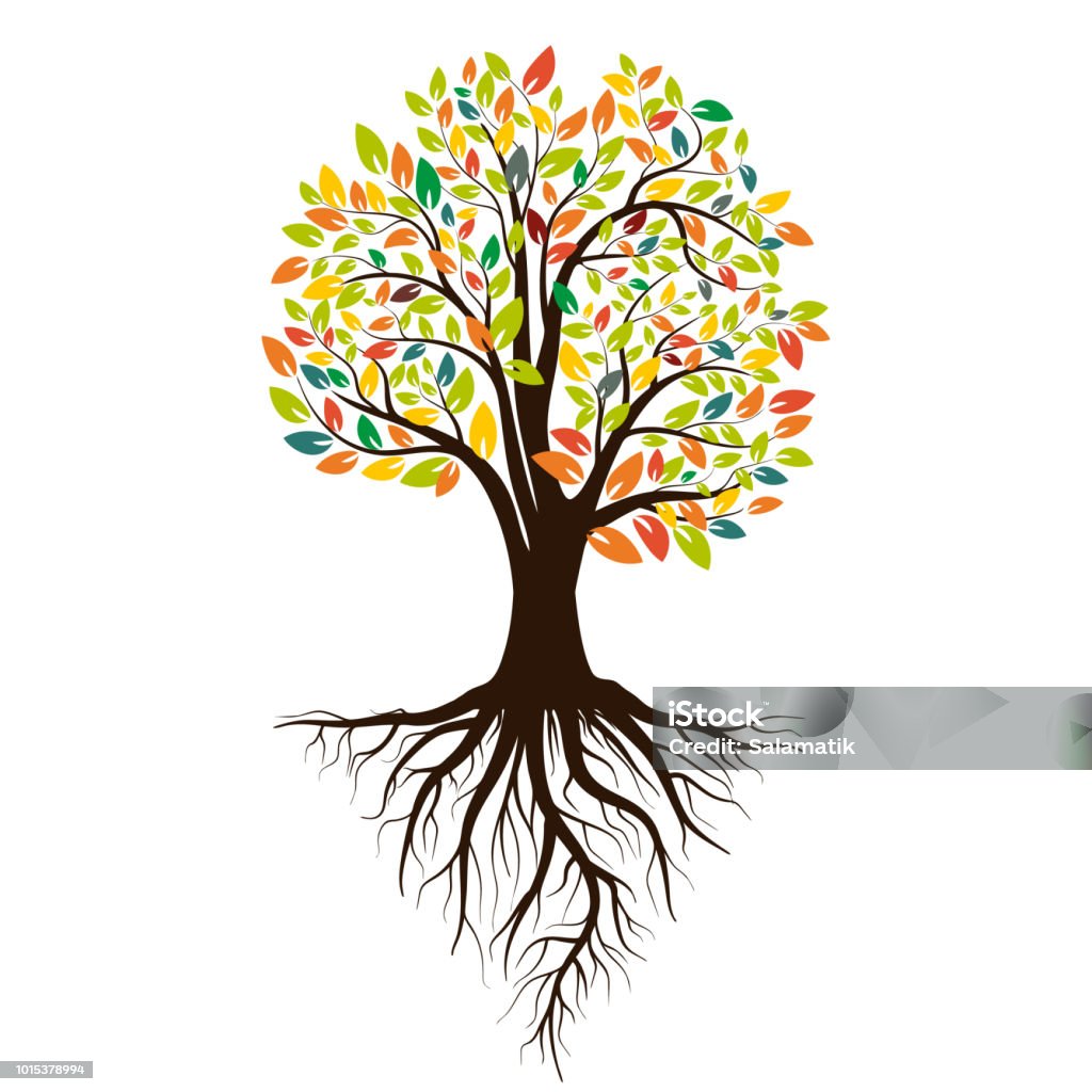 Outono silhueta de uma árvore com folhas coloridas. Árvore com raízes. Isolado no fundo branco. Ilustração vetorial - Vetor de Árvore royalty-free