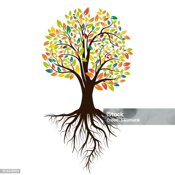 Autumn Silhouette Of A Tree With Colored Leaves Tree With Roots Isolated On White Background Vector Illustration - Arte vetorial de stock e mais imagens de Árvore