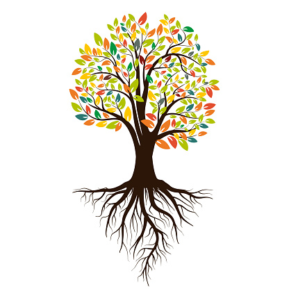 Autumn silhouette of a tree with colored leaves. Tree with roots. Isolated on white background. Vector illustration