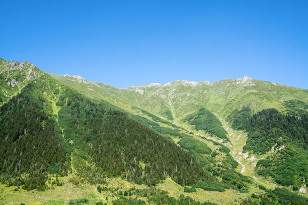 istock Kackar mountains with green forest landscape in Rize,Turkey. 1015381446
