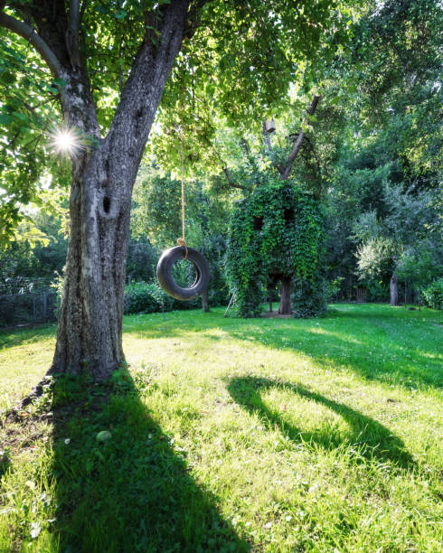 istock House on tree in green spring garden 1015382664