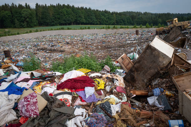 istock Various trash and waste material at landfill 1015388126