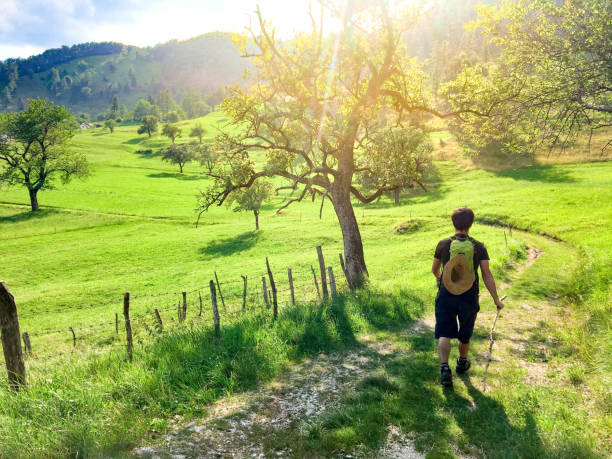 Young Man Enjoying Summer Hiking Outdoors on Countryside