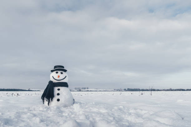 istock Funny snowman in black hat 1015388486