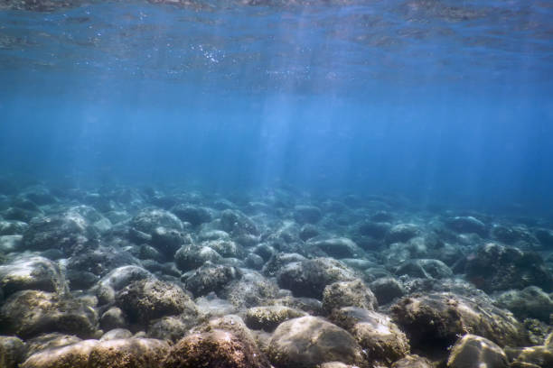 istock Sea Life Underwater rocks Sunlight, Underwater Life. 1015405900