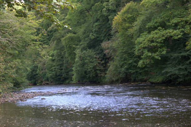 istock Landscape view of River Ayr 1015413868