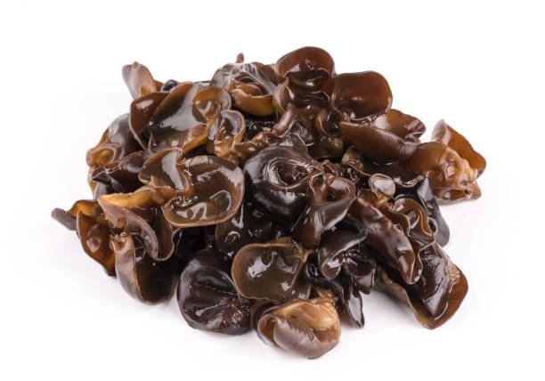istock Black fungus on white background 1015414602