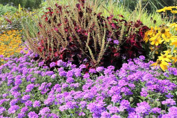 istock Neat and tidy flower garden 1015420472