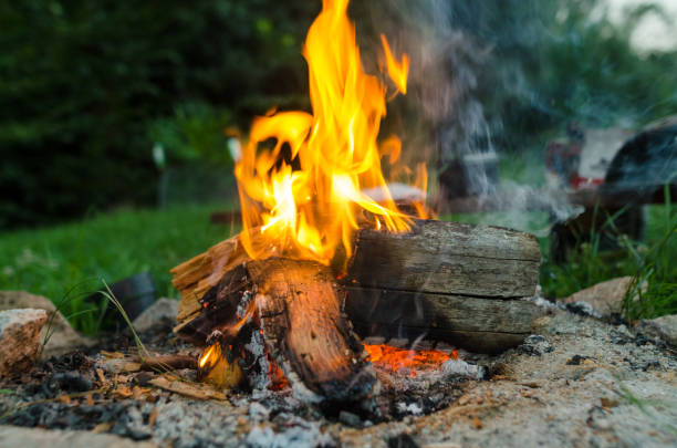 istock Afternoon grill on garden 1015433930