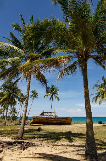 istock stranded wooden shipwrecked on the sandy beach 1015434806