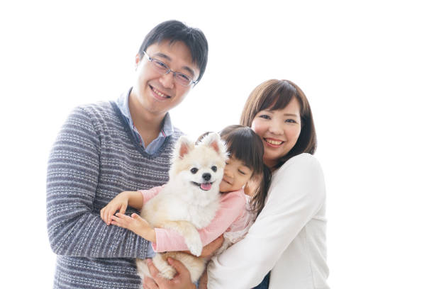 ter um cão de família - pets family dog asian ethnicity - fotografias e filmes do acervo