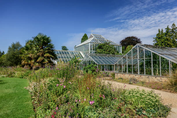 istock Botanical garden in Cambridge, England 1015437260