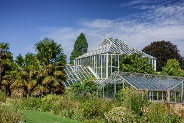 istock Botanical garden in Cambridge, England 1015437480