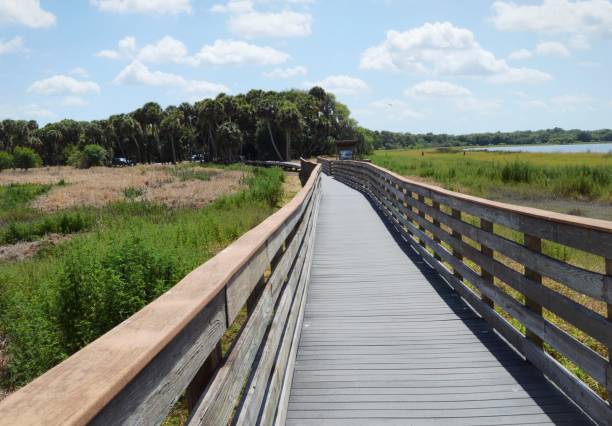 istock Small dock leading into the distance 1015442484