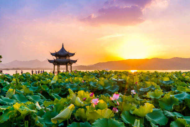 istock Natural scenery and architectural landscape in West Lake, Hangzhou 1015451734