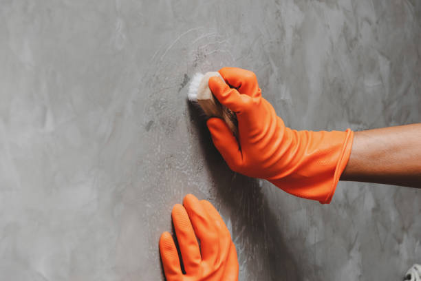 istock Cleaning Equipment & Supplies 1015452452