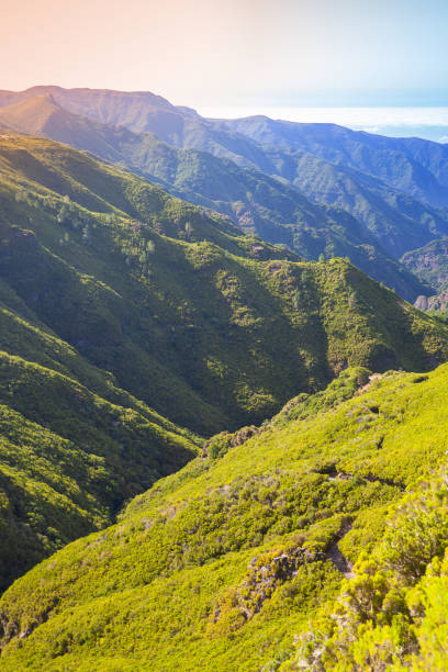 istock Vertical mountain landscape of Madeira island 1015455032
