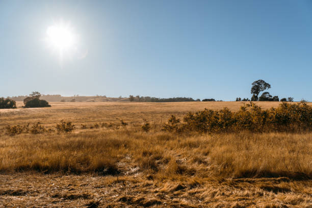 istock Drought in rural NSW, Australia. 1015461962
