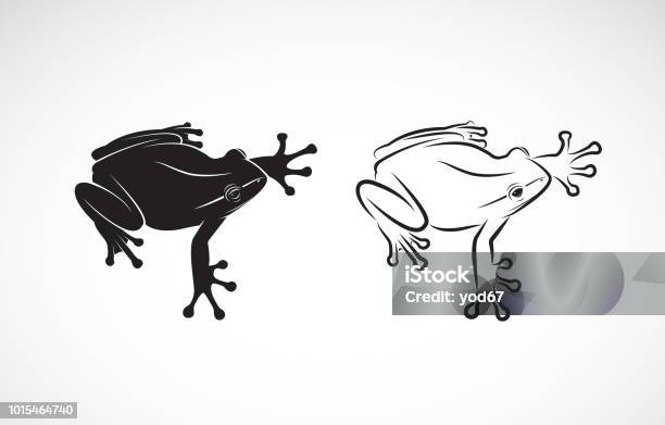 Vector Of Frog Design On White Background Amphibian Animal Frog Icon Easy Editable Layered Vector Illustration Stock Illustration - Download Image Now