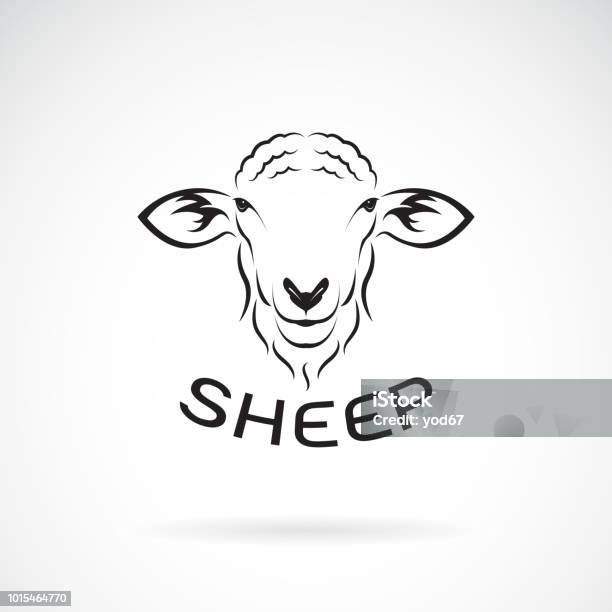 Vector Van Schapen Hoofd Ontwerp Op Witte Achtergrond Wilde Dieren Gemakkelijk Bewerkbaar Gelaagde Vectorillustratie Stockvectorkunst en meer beelden van Schaap