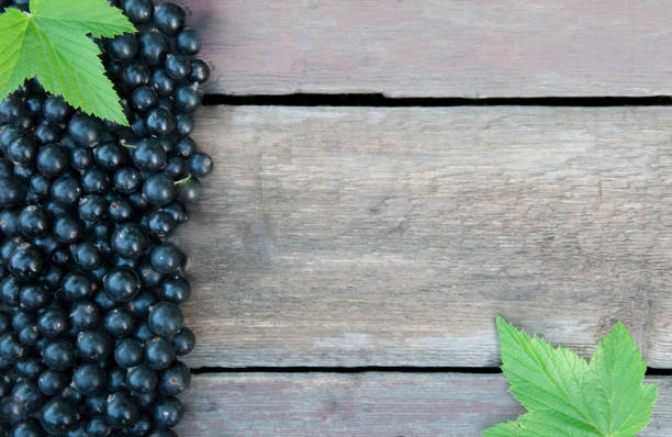istock Berries of black currant on a wooden background 1015480696