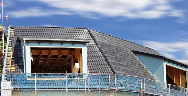 tegels op een dak (panoramisch beeld) - timmerman dakkapel stockfoto's en -beelden