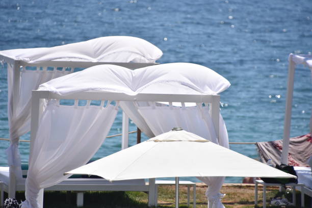 istock PARASOL and VIP pavilions at the Ibiza beach 1015482010