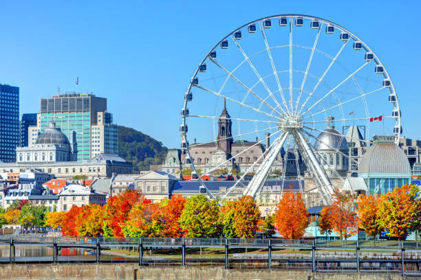 istock Autumn in Montreal 1015491890