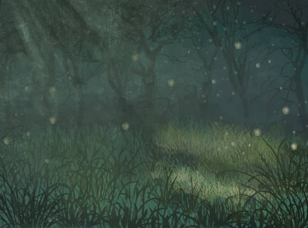 Enchanted forest copy space background. Enchanted forest copy space background for text. Illustration of enchanted forest for copy space background. Enchanted forest copy space illustration for design Enchanted forest copy space background. Enchanted forest copy space background for text. Illustration of enchanted forest for copy space background. Enchanted forest copy space illustration for design. midnight illustrations stock illustrations