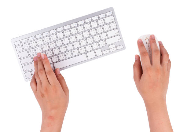 istock Woman working at home office hand on keyboard on white background 1015522696