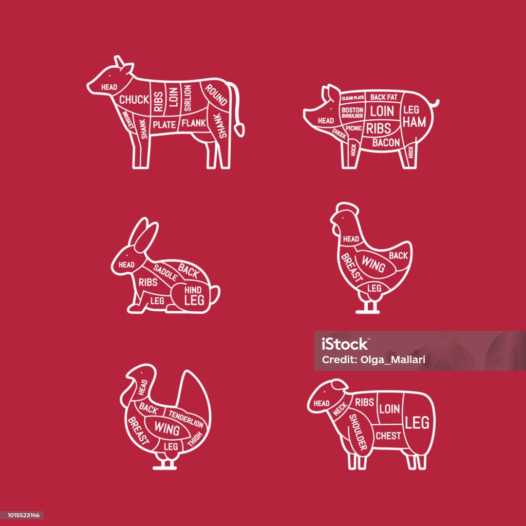 Diagrams for butcher shop. Meat cuts. Animal silhouette, pig, cow, lamb, chicken, turkey, rabbit. Vector illustration. Meat stock vector